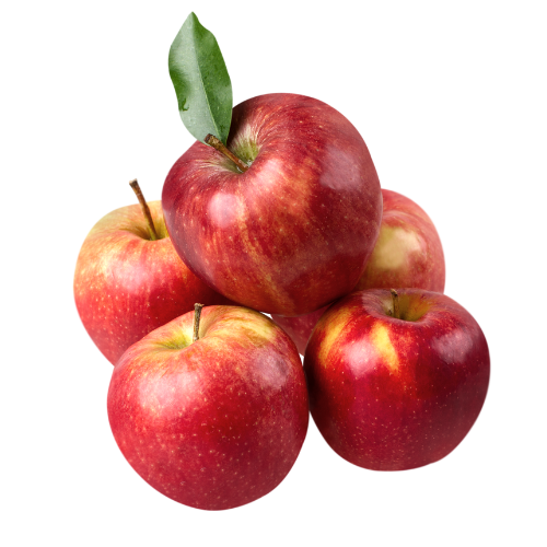 আপেল চারা