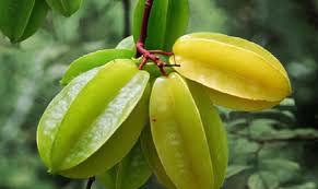 মিষ্টি কামরাঙ্গা